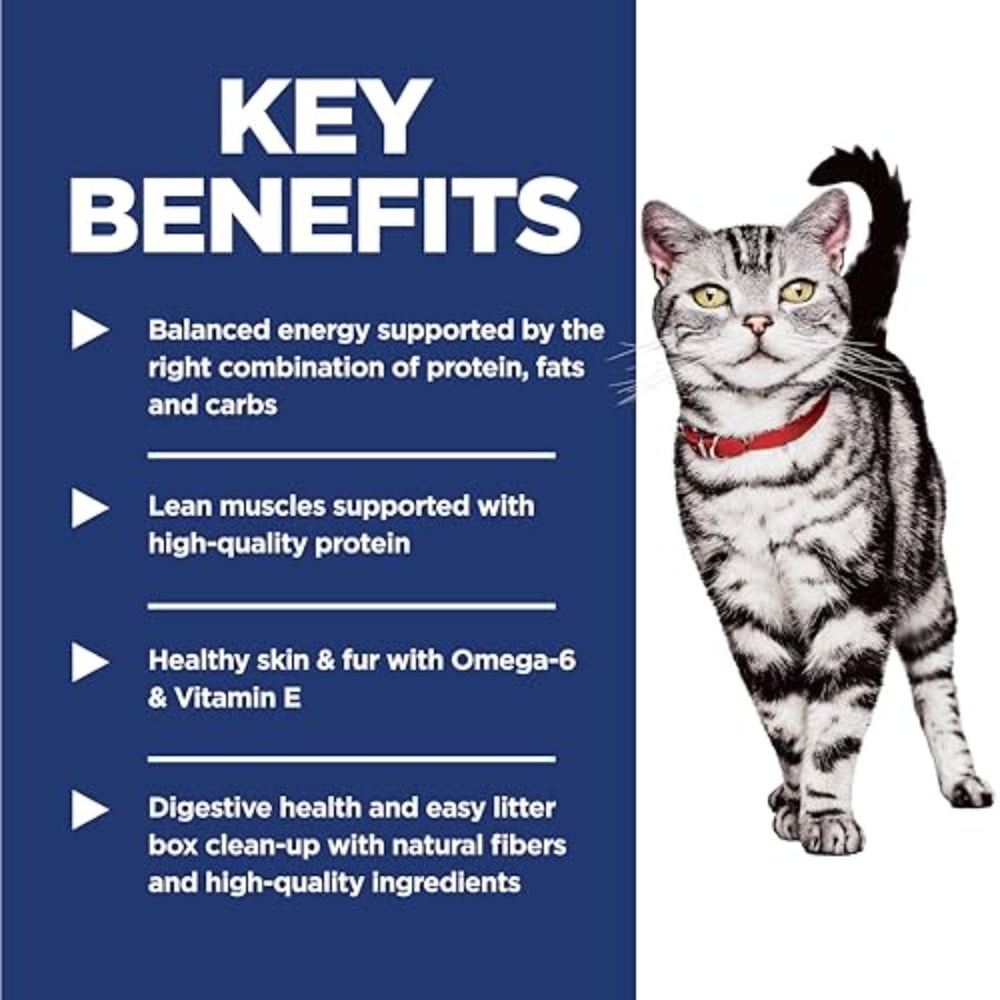 Diet Indoor Chicken Recipe Dry Cat Food for Adult Cats