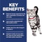 Diet Indoor Chicken Recipe Dry Cat Food for Adult Cats
