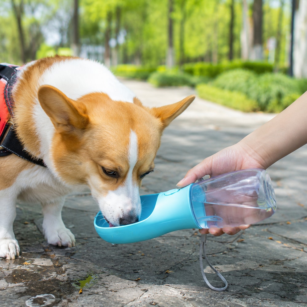 Portable Pet Travel Water Bottle & Food Dispenser 3 n 1 Leakproof Bowl