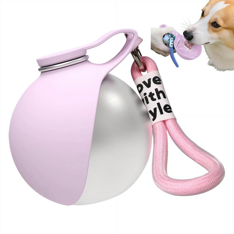 Portable Dog Water Bottle & Foldable Travel Bowl Set