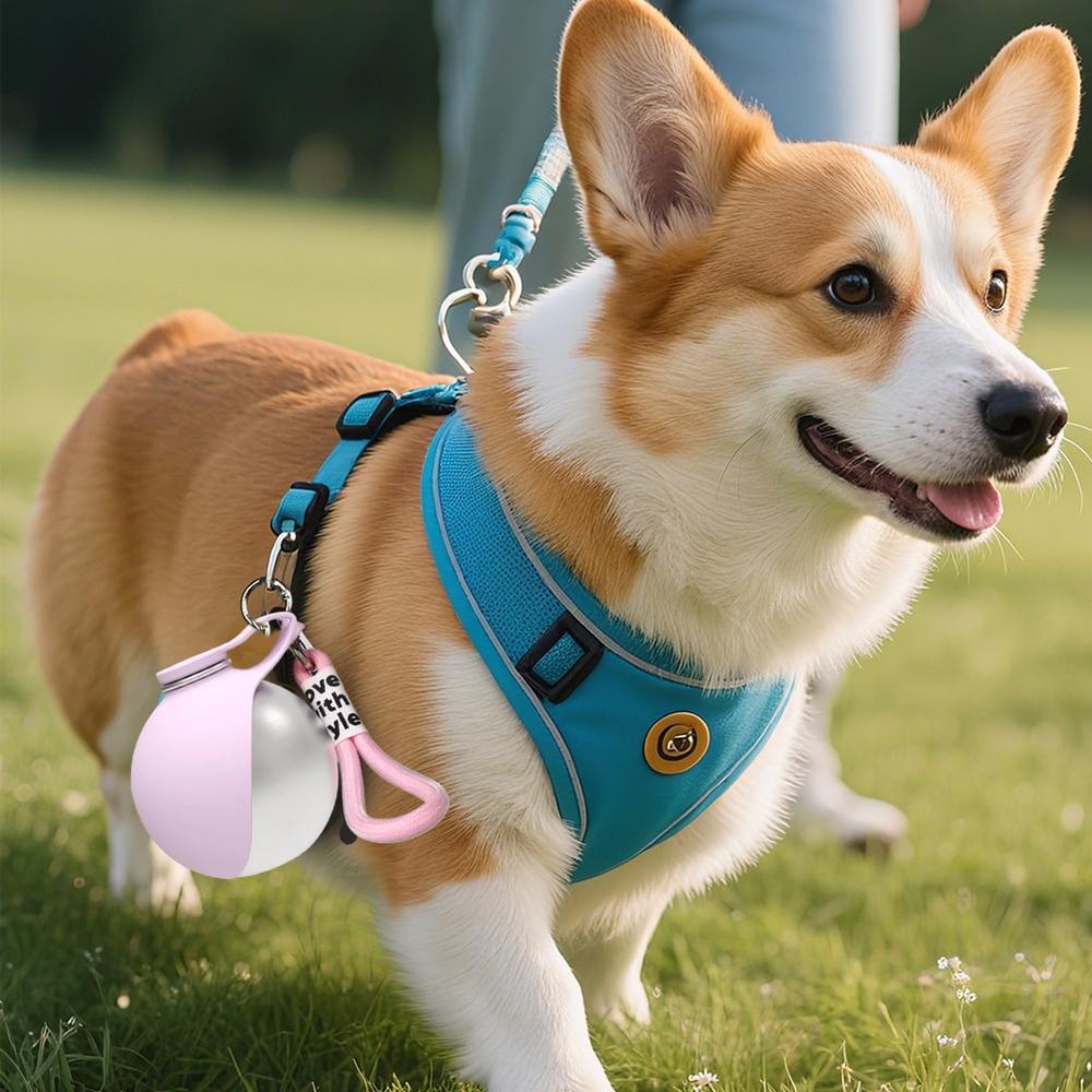 Portable Dog Water Bottle & Foldable Travel Bowl Set