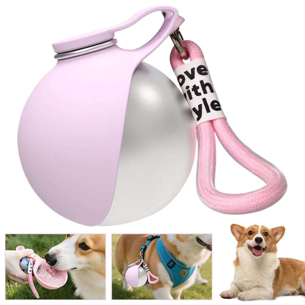 Portable Dog Water Bottle & Foldable Travel Bowl Set