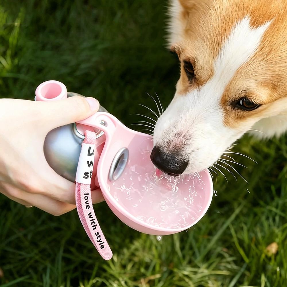 Portable Dog Water Bottle & Foldable Travel Bowl Set