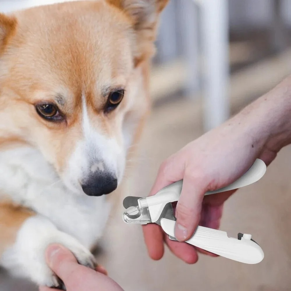 LED Pet Nail Clippers For Dogs Cats With Splash Guard 0
