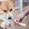 LED Pet Nail Clippers For Dogs Cats With Splash Guard 0