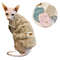 xAEbAutumn-Winter-Cat-Clothes-Soft-Cozy-Warm-Fleece-Sphynx-Costume-Puppy-Kitten-Jacket-Coat-Pet-Sweater.jpg