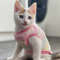 n3KNCartoon-Fleece-Pet-Cat-Clothes-Winter-Warm-Pet-Dog-Vest-Puppy-Cat-Sweater-Dog-Clothes-For.jpg