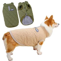 winter dog clothes: cotton coat for dachshunds, corgis, french bulldogs