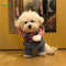 ur28PUPCA-Halloween-Dog-Clothes-Personalized-Funny-Cosplay-Costume-Party-Spooky-Pet-Clothing-Teddy-Deadly-Doll-Knife.jpg