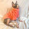 e7QmNew-Pet-Wool-Hoodies-Cat-Sweater-Winter-Fashion-Thickening-Warm-Sphynx-Clothes-Home-Comfortable-Winter-Dog.jpg