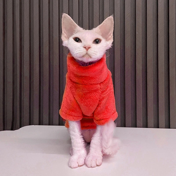 ejNlNew-Pet-Wool-Hoodies-Cat-Sweater-Winter-Fashion-Thickening-Warm-Sphynx-Clothes-Home-Comfortable-Winter-Dog.jpg