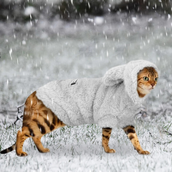 7tsFWarm-Cat-Clothes-Winter-Pet-Puppy-Kitten-Coat-Jacket-For-Small-Medium-Dogs-Cats-Chihuahua-Yorkshire.jpg