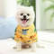 WhL2Pet-Dog-Clothes-Dog-Sweatshirt-Winter-Warm-Velvet-Dog-Vest-Shirt-Pet-Clothing-for-Small-Medium.jpg