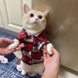 plaid cat clothes: sphinx pet clothing for small cats & dogs