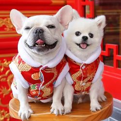 Chinese New Year Dog Costume: Winter Tang Suit Pet Clothes
