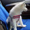 e8AvCar-Seat-Mat-Pet-Carrying-Rear-Seat-Cover-Waterproof-Anti-Dirty-Anti-Scratch-Protector-Mat-Cat.jpg
