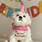 x4MTPet-Caps-And-Scarf-For-Birthday-Party-Dress-Up-Cute-Hat-Bib-Dog-Cat-Saliva-Towel.jpg