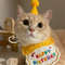 6nrkPet-Caps-And-Scarf-For-Birthday-Party-Dress-Up-Cute-Hat-Bib-Dog-Cat-Saliva-Towel.jpg