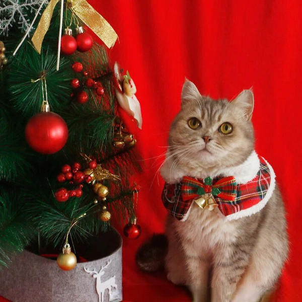 9JnNCat-Christmas-Cloak-Dog-New-Year-Shawl-Pet-Scarf-English-Short-Autumn-Winter-Clothing-Warm-Teddy.jpg