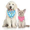 MQg430pcs-Dog-Bandana-Easter-Rabbbit-Bandanas-Scarf-For-Small-Dogs-Pet-Dog-Puppy-Bibs-Dog-Pet.jpg