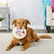 cWZPPet-Dog-Toy-Cute-Birthday-Cake-Squeaky-Toys-Bite-Resistant-Bone-Shape-Stuffed-Toy-Cat-Puppy.jpg
