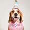 0xvo1-Set-Dog-Bib-Headgear-Neckerchief-Headgear-Excellent-All-matched-Pet-Hat-Scarf-Pet-Dog-Birthday.jpg
