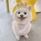 45kCINS-Pet-Supplies-Dog-Birthday-Mouth-Towel-Party-Triangle-Towel-Pawty-Cat-Dog-Crown-Headwear-Cute.jpg