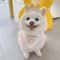 45kCINS-Pet-Supplies-Dog-Birthday-Mouth-Towel-Party-Triangle-Towel-Pawty-Cat-Dog-Crown-Headwear-Cute.jpg