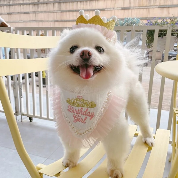 MyANINS-Pet-Supplies-Dog-Birthday-Mouth-Towel-Party-Triangle-Towel-Pawty-Cat-Dog-Crown-Headwear-Cute.jpg