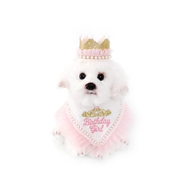 uTFiINS-Pet-Supplies-Dog-Birthday-Mouth-Towel-Party-Triangle-Towel-Pawty-Cat-Dog-Crown-Headwear-Cute.jpg