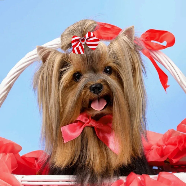 zEcE20PCS-Red-Pink-Series-Dog-Bows-Valentine-s-Day-Bows-for-Dogs-Cute-Cat-Dog-Bows.jpg