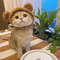 yJZuFunny-Cat-Cap-Bear-Plush-Head-Cover-Cute-Cat-Dog-Woven-Warm-Headdress-Pet-Hat-Kitten.jpg