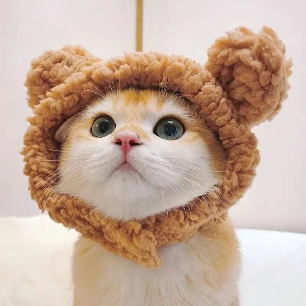g9auFunny-Cat-Cap-Bear-Plush-Head-Cover-Cute-Cat-Dog-Woven-Warm-Headdress-Pet-Hat-Kitten.jpg