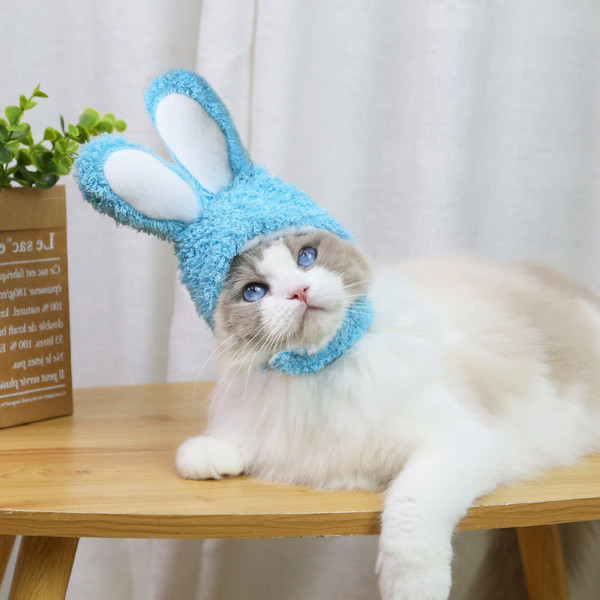 zodIFunny-Cat-Headgear-Cute-Rabbit-Ears-Cap-for-Cats-Warm-Plush-Pet-Hat-Christmas-Cosplay-Props.jpg