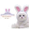 zvz5Funny-Cat-Headgear-Cute-Rabbit-Ears-Cap-for-Cats-Warm-Plush-Pet-Hat-Christmas-Cosplay-Props.jpg