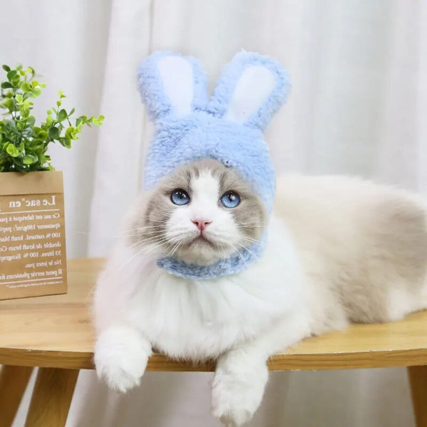 1111Pet-Products-Rabbit-Ears-Headdress-Pet-Plush-Rabbit-Hat-Bunny-Ears-Cats-Dogs-Performance-Props-Cosplay.jpg