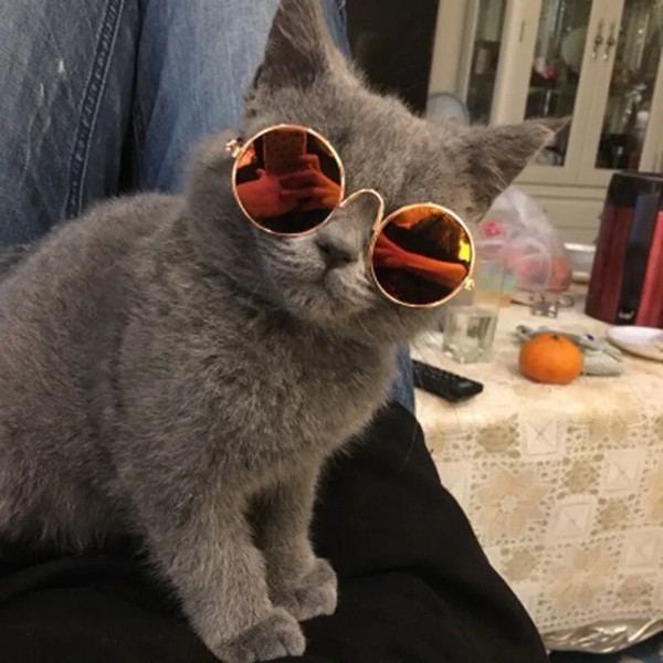 aUKAHandsome-Pet-Cat-Glasses-Eye-wear-Sunglasses-for-Small-Dog-Cat-Pet-Photos-Props-Accessories-Top.jpg
