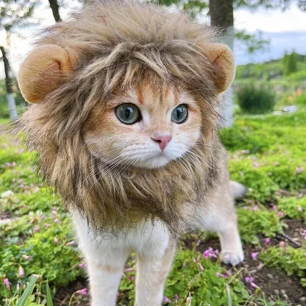 6pR2Cat-Cosplay-Dress-Up-Pet-Hat-Lion-Mane-for-Cat-Puppy-Lion-Wig-Costume-Party-Decoration.jpg