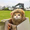 DYIrCat-Cosplay-Dress-Up-Pet-Hat-Lion-Mane-for-Cat-Puppy-Lion-Wig-Costume-Party-Decoration.jpg