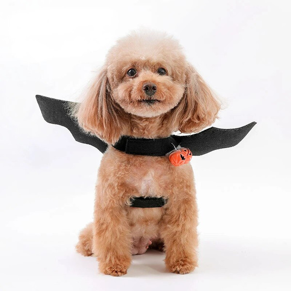 DF9qPet-Cat-Costume-Bat-Wings-Funny-Pet-Cosplay-Prop-Dog-Halloween-Costume-Cat-Dog-Costume-Cats.jpg