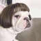 YZM6Pet-Wigs-Cosplay-Props-Funny-Dogs-Cats-Cross-Dressing-Hair-Hat-Costumes-Head-Accessories-For-Halloowen.jpg