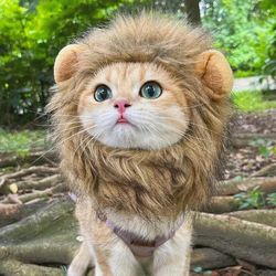 Cute Lion Mane Cat Wig Hat | Funny Pet Clothes for Fancy Parties