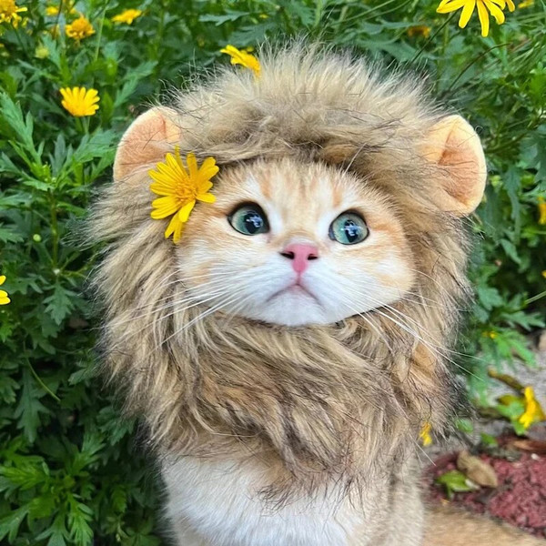 KGPCCute-Lion-Mane-Cat-Wig-Hat-Funny-Pets-Clothes-Cap-Fancy-Party-Dogs-Cosplay-Costume-Kitten.jpg