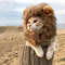 JO4zCute-Lion-Mane-Cat-Wig-Hat-Funny-Pets-Clothes-Cap-Fancy-Party-Dogs-Cosplay-Costume-Kitten.jpg