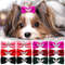 dM2Y10PCS-Glitter-Dogs-Bow-Hairpin-Puppy-Crown-Bow-Clips-for-Dog-Queen-Cat-Dog-Hair-Clip.jpg