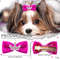 gxuw10PCS-Glitter-Dogs-Bow-Hairpin-Puppy-Crown-Bow-Clips-for-Dog-Queen-Cat-Dog-Hair-Clip.jpg