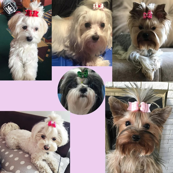 ZWAn10pcs-lot-Hand-made-Small-Hair-Bows-For-Dog-Rubber-Band-Cat-Hair-Bowknot-Boutique-Valentine.jpg
