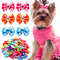 z8np20pcs-Summer-Dog-Hair-Bows-Dog-Bows-with-Diamond-Colorful-Grooming-Rubber-Band-for-Small-Dog.jpg
