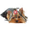 kmMM10-20pcs-Flower-Dog-Hair-Bow-Red-Style-Valentine-s-Day-Decorate-Dog-Bowknot-with-Rubber.jpg