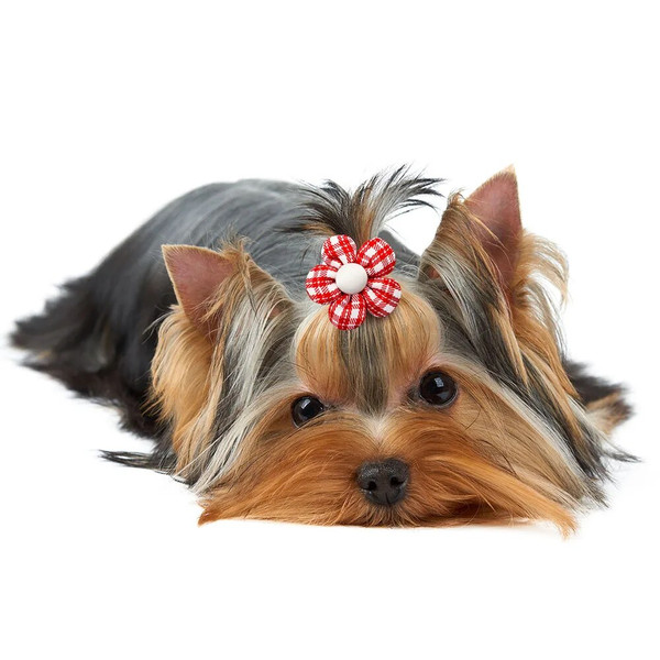 kmMM10-20pcs-Flower-Dog-Hair-Bow-Red-Style-Valentine-s-Day-Decorate-Dog-Bowknot-with-Rubber.jpg